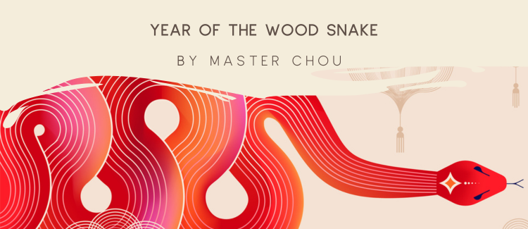 Year of the Wood Snake - Blog